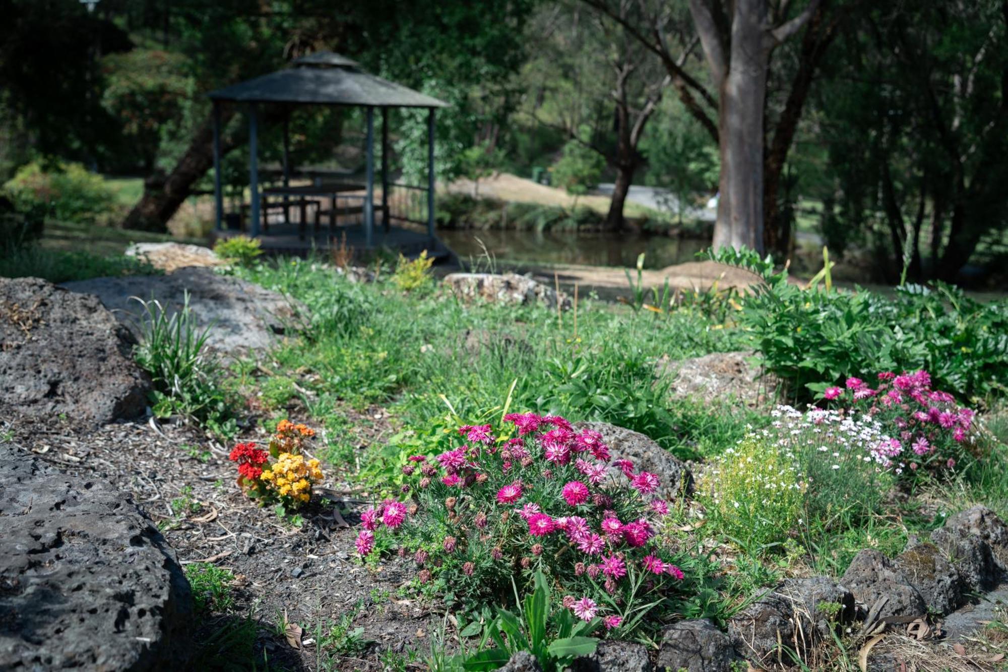 Montrose Manor Of Healing Villa Exterior photo